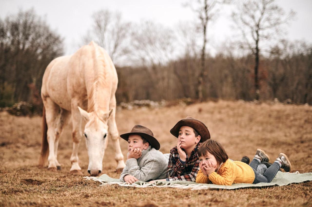 Tmbin'S Barn - Nature, Horses, Family Sežana Kültér fotó