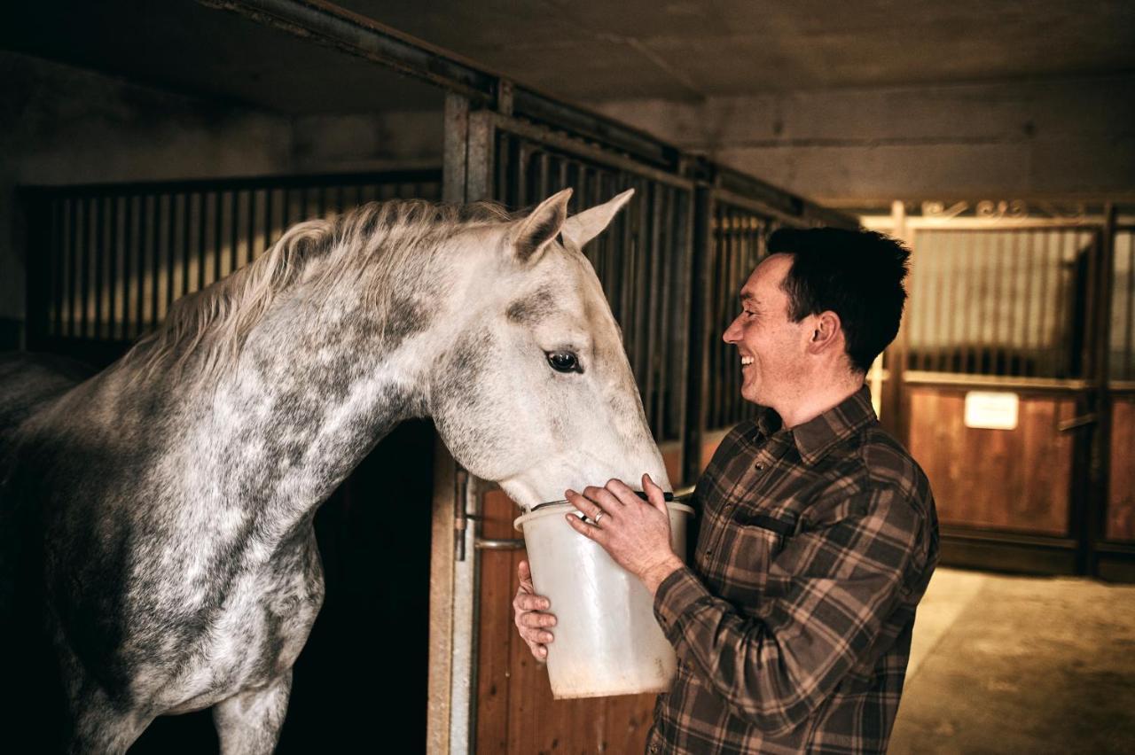 Tmbin'S Barn - Nature, Horses, Family Sežana Kültér fotó