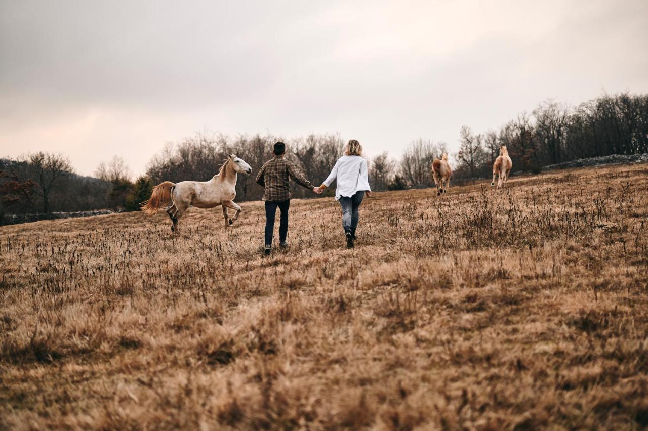Tmbin'S Barn - Nature, Horses, Family Sežana Kültér fotó