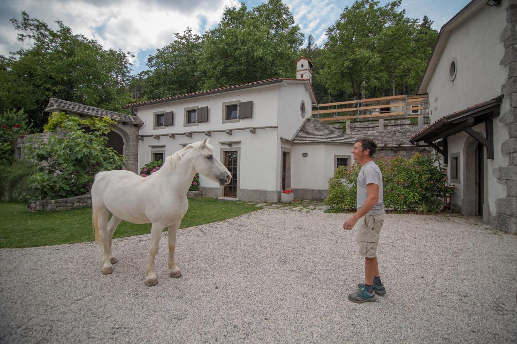 Tmbin'S Barn - Nature, Horses, Family Sežana Kültér fotó